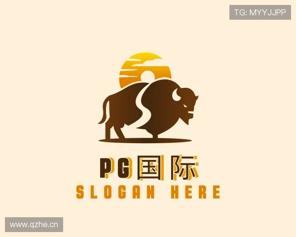 发现PG国际