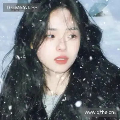 晏清飚